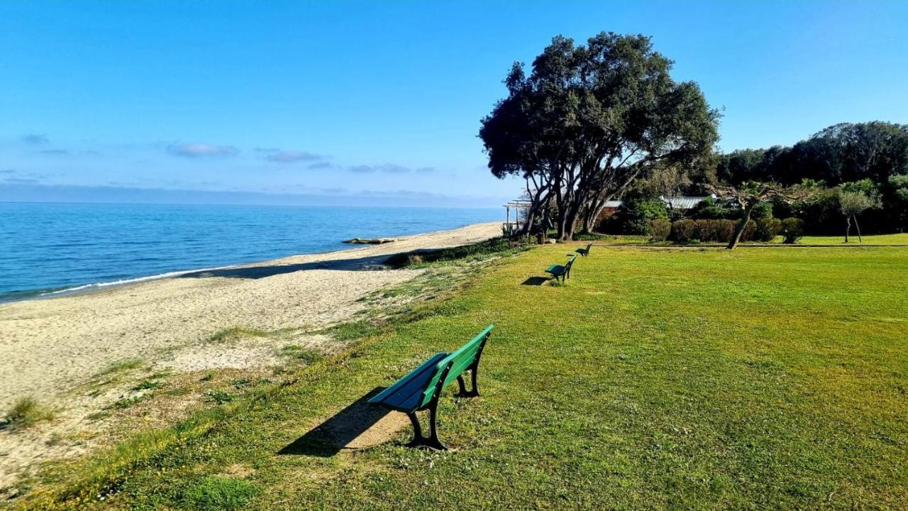 Maison U Nidu A 500M De La Mer セルヴィオーヌ エクステリア 写真